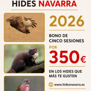 BONO DE CINCO SESIONES